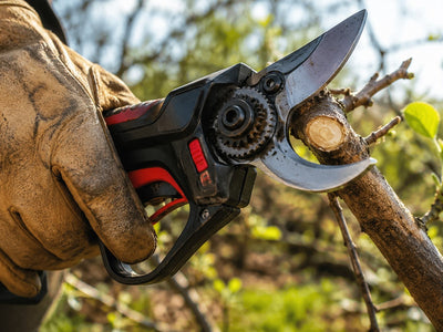 Crucial vs Ryobi 18V (2026) : Lequel Choisir pour Vos Tailles ? | Avis d'Expert