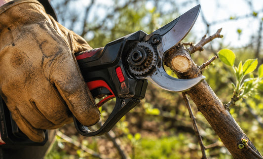 Sécateur électrique sans fil coupant une branche épaisse dans un jardin, illustrant la comparaison entre les modèles Crucial et Ryobi 18V.