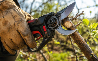 Sécateur électrique sans fil coupant une branche épaisse dans un jardin, illustrant la comparaison entre les modèles Crucial et Ryobi 18V.