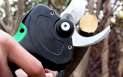 Comparatif Bosch vs Ryobi vs Komok 2026
