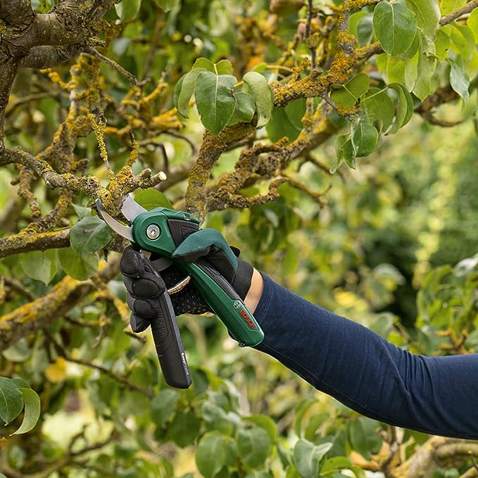 Secateur Electrique Vigne