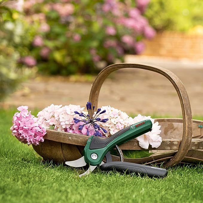 Secateur Electrique