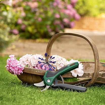 Secateur Electrique