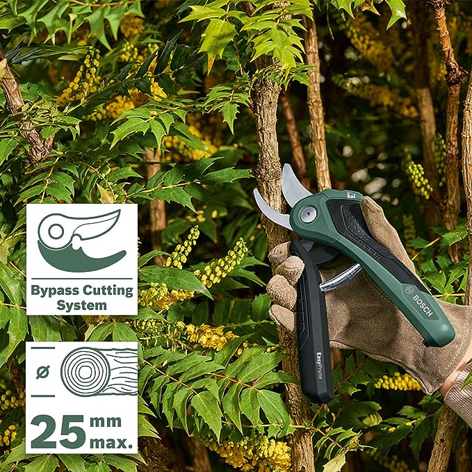 Meilleur Secateur Electrique