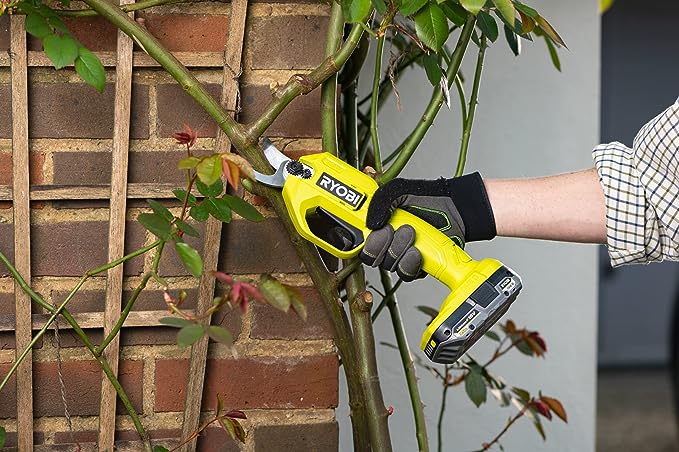 Comparatif Secateur Electrique